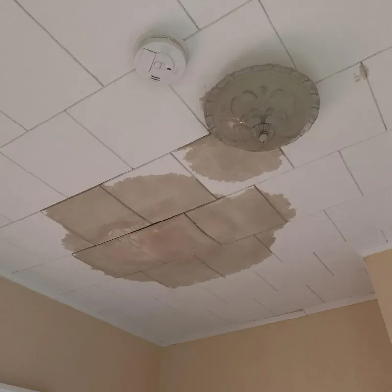 Ceiling Water Damage Repair in Highland Park, MI