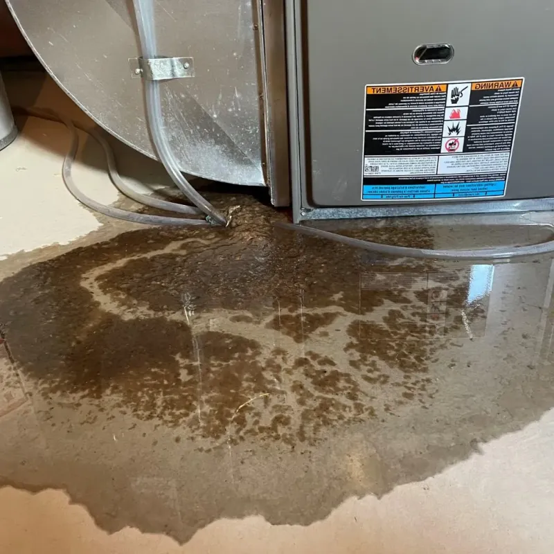 Pipe Burst and Leak Restoration in Highland Park, MI