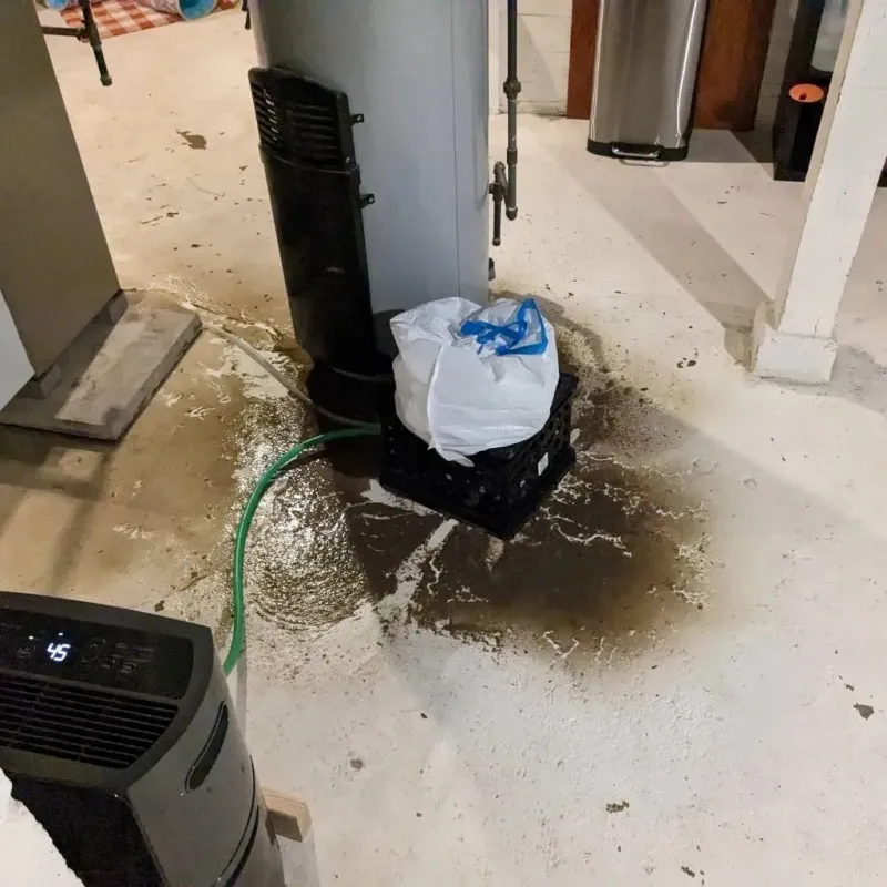 Sewage Backup Cleanup Service in Highland Park, MI